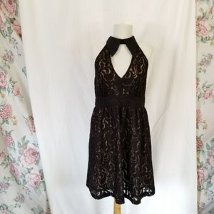 Anna Sui for Target Lace Collared Peek-a-boo Dress
